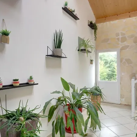 Zen Et Tropicale Villa *