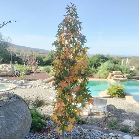 Zen Et Tropicale